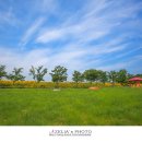 악양생태공원 이미지