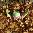 유아 보드게임 이미지