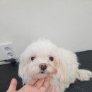 해피미용실 이미지