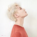 KWAVE 카카오 검색결과