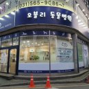 오블리동물병원 네이버블로그