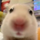 냠냠