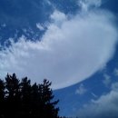 제주시보건소 이미지