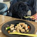 영무파라드 펜션 | 부산 애견동반 영무파라드호텔 쏘쏘한 후기