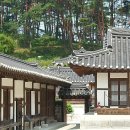 강릉햇살 티스토리
