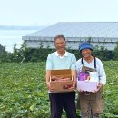 김용주농장 이미지