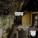 수원역의 새로운 힐링 스팟, 카페 일상엔 방문 후기 ☕️