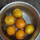 씨돌농장 | 돌배 돌배청 돌배담금주 기침예방 기관지에좋은차 목건강 자연에서 자란 토종돌배 - 서기네농장 토종돌배