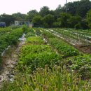 근원농장 이미지