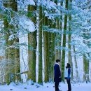 고성목장 이미지