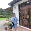 어울림레이디