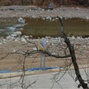 물안개농박 이미지