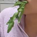 윤정이네국밥