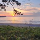 솔향기하우스 | 고사포 야영장 17번 하우스 : 최고 인기 국립공원 야영장