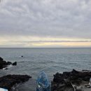 우진세탁 이미지