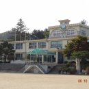 이곡초교 Daum카페