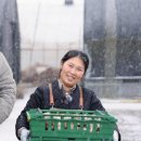 김포 자연 농장 이미지