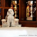 히든밸리켄넬 이미지