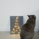 라탄&마크라메 생활공예 이미지