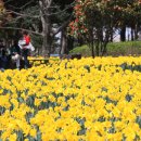 제주4·3평화기념관 이미지