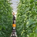 상생농장 이미지