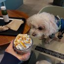 묵동-044 이미지