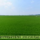 성원리 이미지