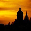 더선약국 이미지