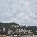 씨라인 | 경남 거제도 덕포해수욕장 아이랑 가볼만 한 곳 덕포랜드씨라인 짚라인 내돈내산 후기