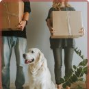 계양동물병원 이미지