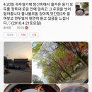 풍산태사로(서) 네이버블로그