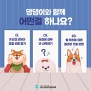 영진우리집 이미지