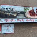 청담배짱이 이미지