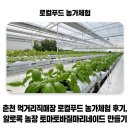 순환농장 | 춘천지역먹거리직매장 농가체험 후기 - 로컬푸드 알로록 농장 토마토바질마리네이드 만들기