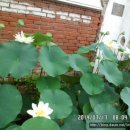 전주 승화원 이미지