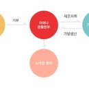더기쁨가발 이미지