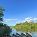 반갑다 창문밖 고양이 이미지