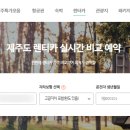 제주닷컴 - 제주시 청사로 26 | 제주닷컴