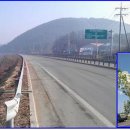 국도44호선 가로수길 이미지