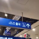 (주)마마치 | [11월 3주] 일상은 없고 여행만 다녀왔어요