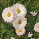 자몽공인중개사사무소 이미지