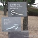 O JEJU 이미지
