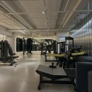 로드짐휘트니스 이미지