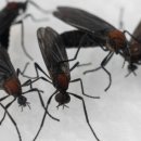 남해-286 이미지