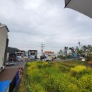 일프로공인중개사사무소 이미지