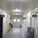 안성비봉산 캠핑장 이미지