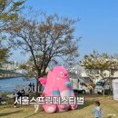 서울스프링페스티벌 2026 후기 : 여의도 한강공원 행사 총정리