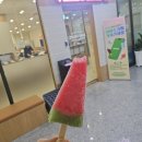 (주)오창푸드 | 오창 샤브샤브, 초밥 맛집 '샤브야키' 내돈내산 솔직후기