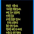 노노레타 이미지