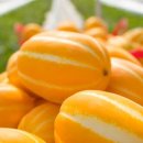 동영농장 이미지